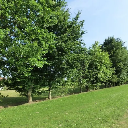 Happygreen * ミラーノ